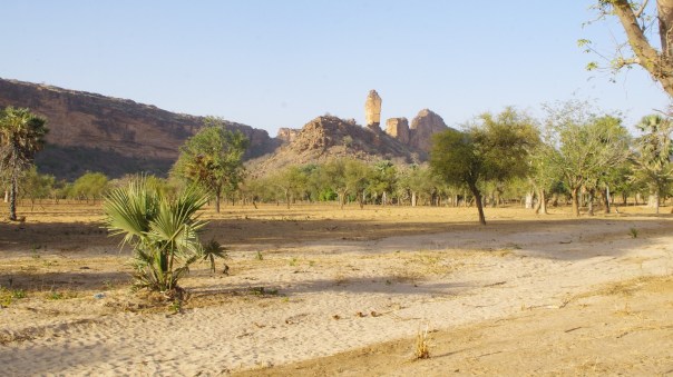 Espace à replanter (2)